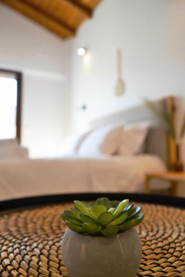 Iades Suites Afytos Zewnętrze zdjęcie